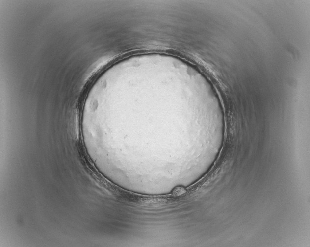 X0000115441171200911251240