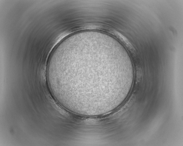 X0000115441178200911251240