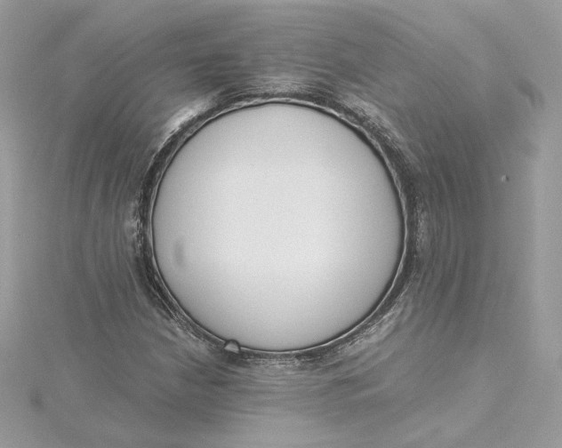 X0000115441210200911251239