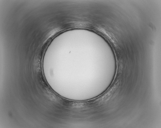 X0000115441211200911251239