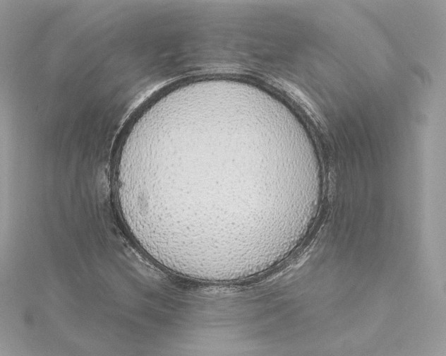 X0000115441212200911251239
