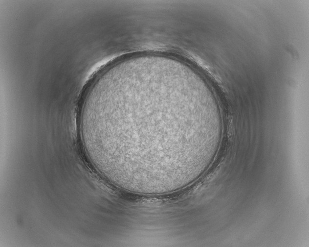 X0000115441214200911251239