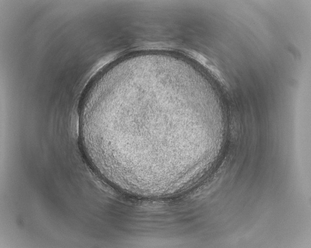 X0000115441221200911251239