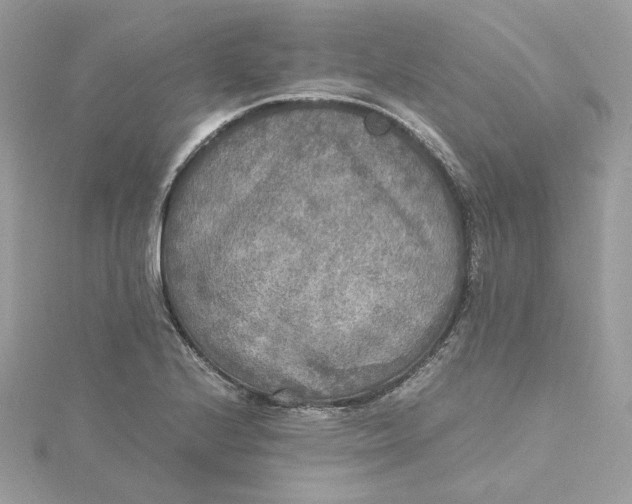 X0000115441224200911251239