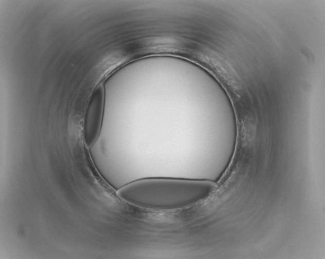 X0000115441225200911251239