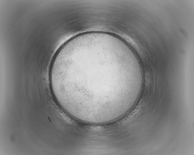 X0000115441230200911251239