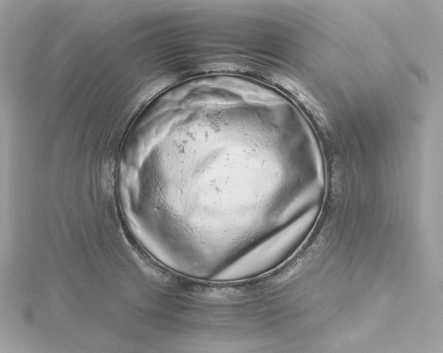 X0000115441233200911251239