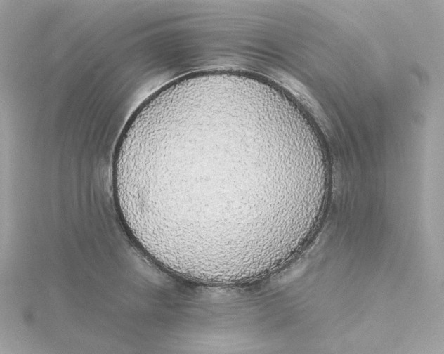 X0000115441234200911251239
