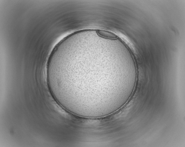 X0000115441238200911251239