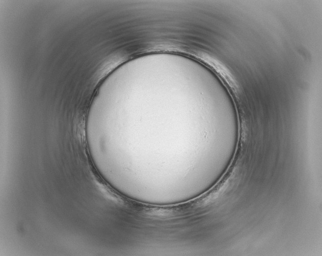 X0000115441241200911251239