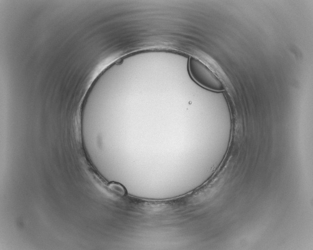 X0000115441242200911251239