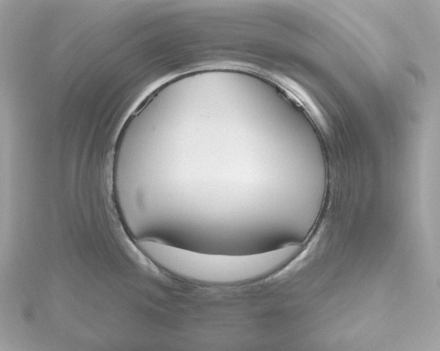 X0000115441244200911251239