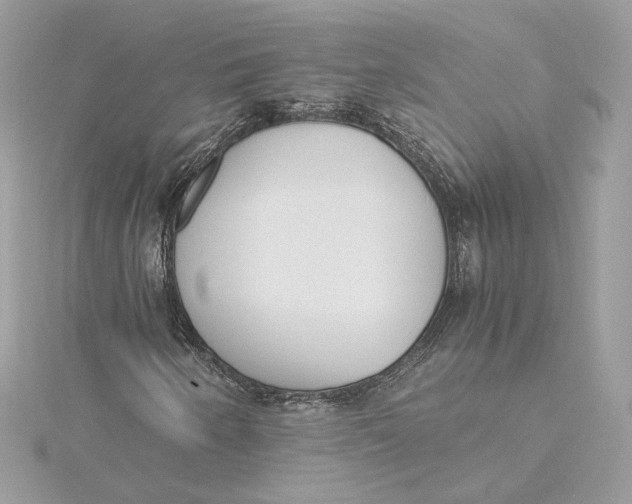 X0000115441250200911251239