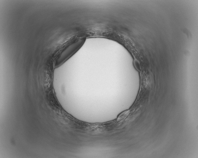 X0000115441253200911251239