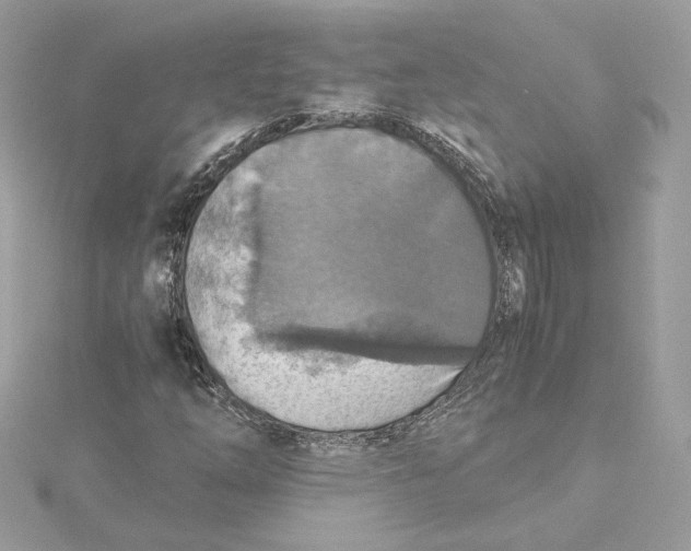 X0000115441254200911251239