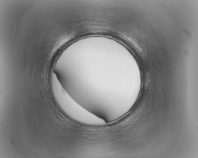 X0000115441261200911251239