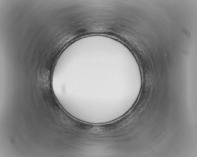X0000115441265200911251239