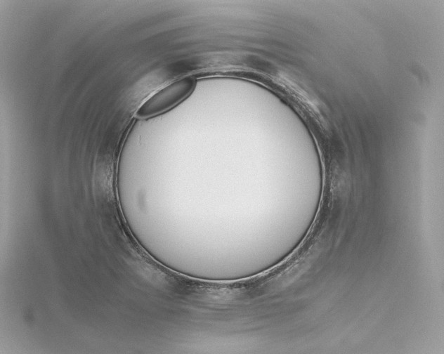 X0000115441273200911251239