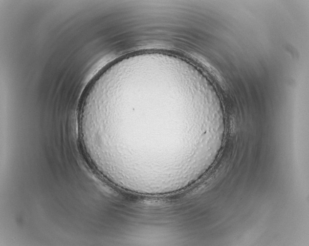 X0000115441274200911251239