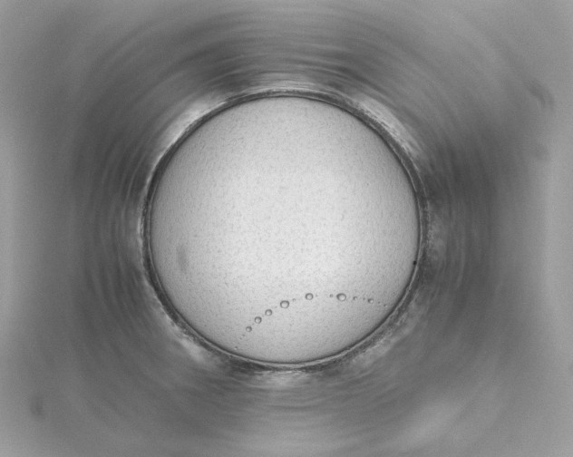 X0000115441282200911251238