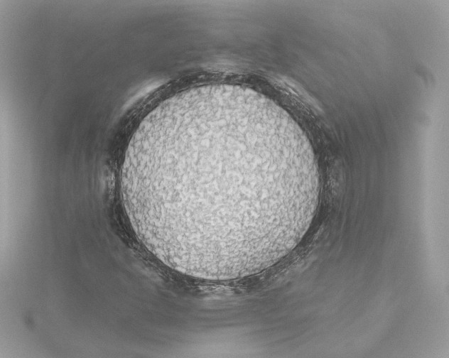 X0000115441302200911251238