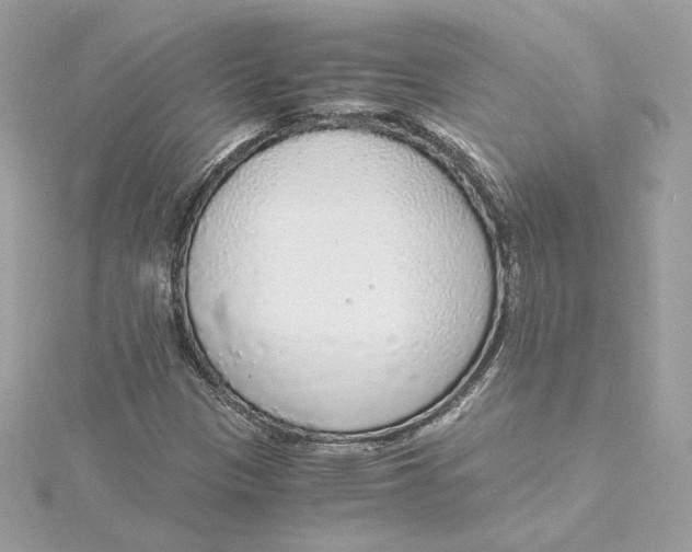 X0000115441305200911251238