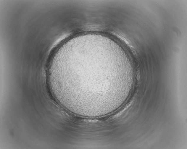 X0000115441309200911251238