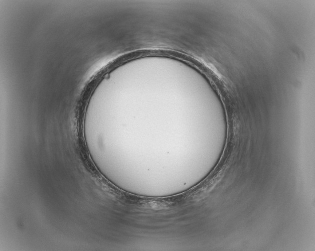 X0000115441311200911251238