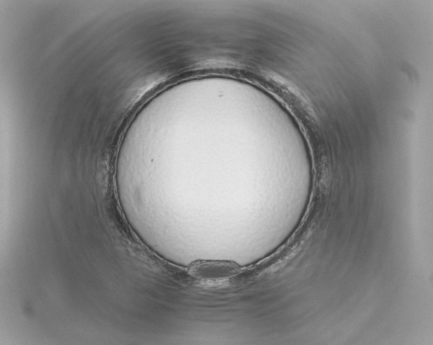 X0000115441313200911251238