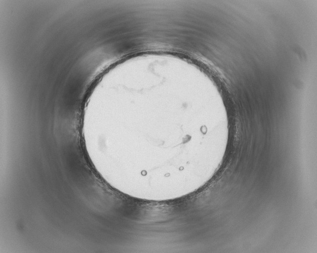 X0000115441314200911251238