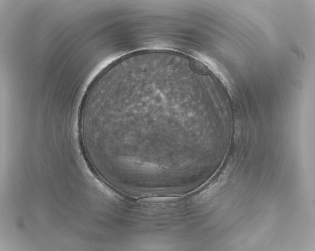 X0000115441331200911251238