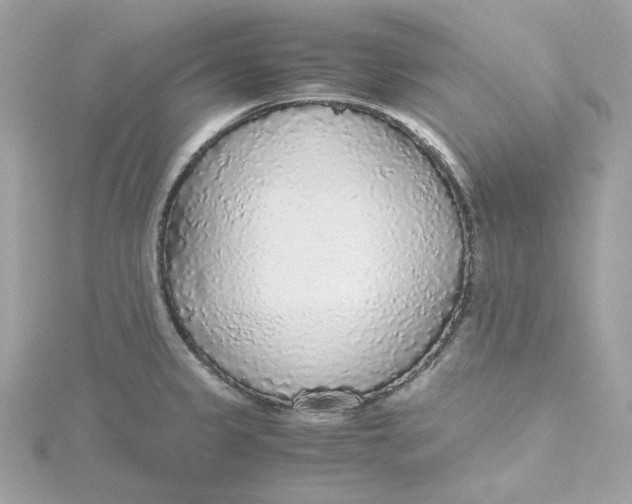 X0000115441333200911251238