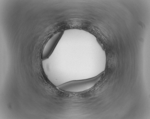 X0000115441345200911251238