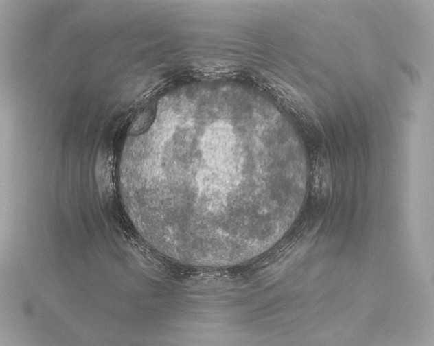 X0000115441346200911251238