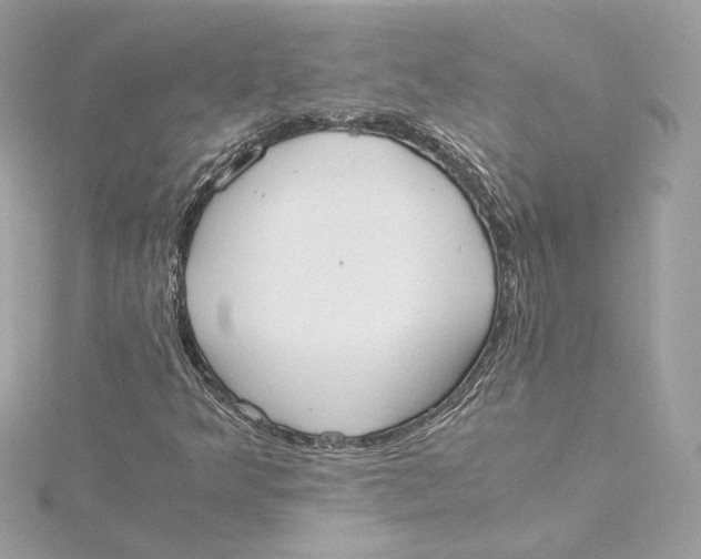 X0000115441349200911251238