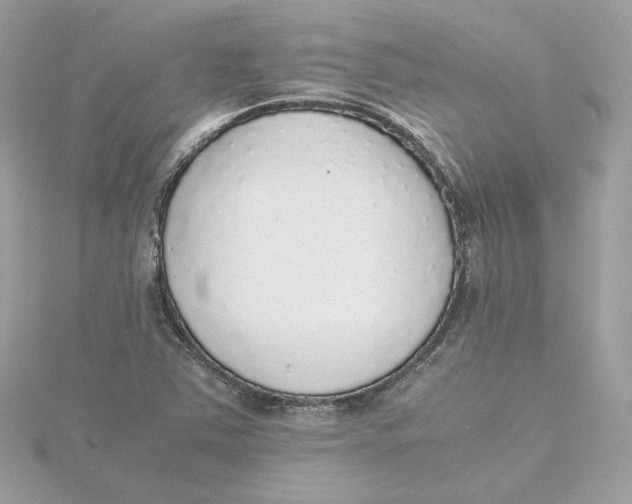 X0000115441363200911251237
