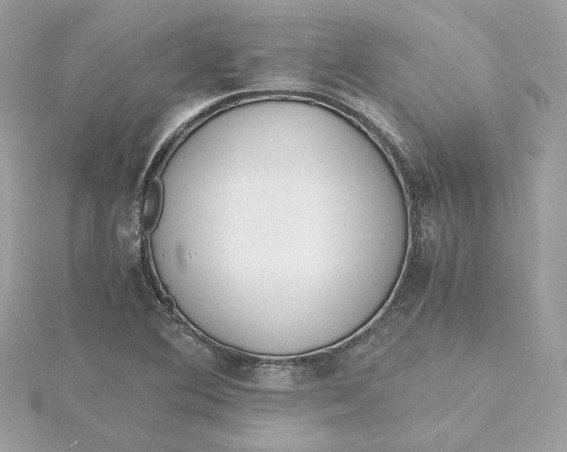 X0000115441364200911251237