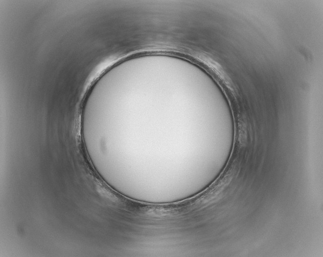 X0000115441366200911251237