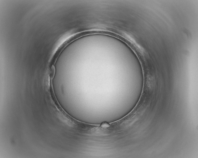 X0000115441368200911251237