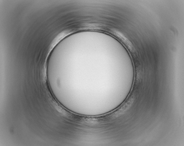 X0000115441370200911251237