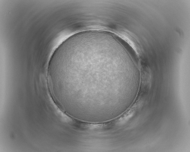 X0000115441381200911251237