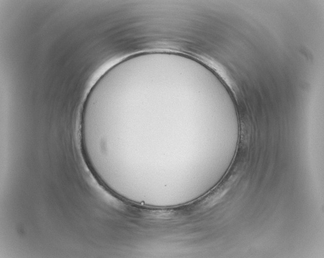 X0000115441387200911251237
