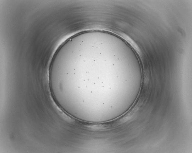 X0000115441388200911251237