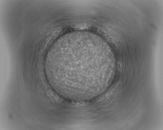 X0000115441393200911251236