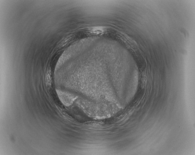 X0000115441394200911251236