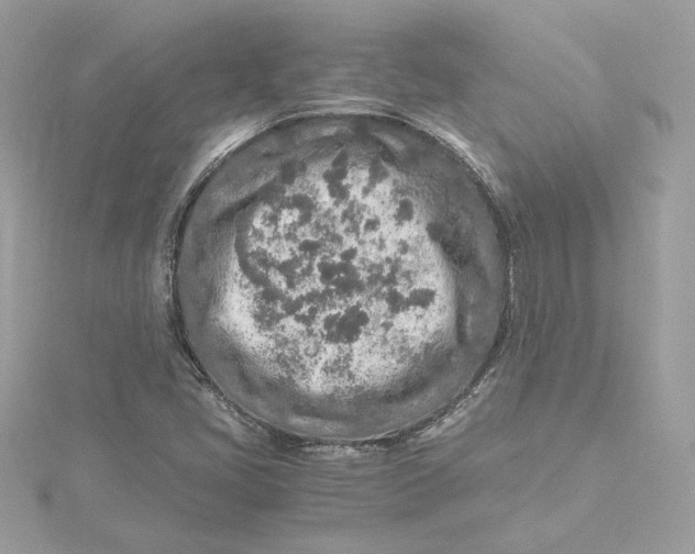 X0000115441405200911251236