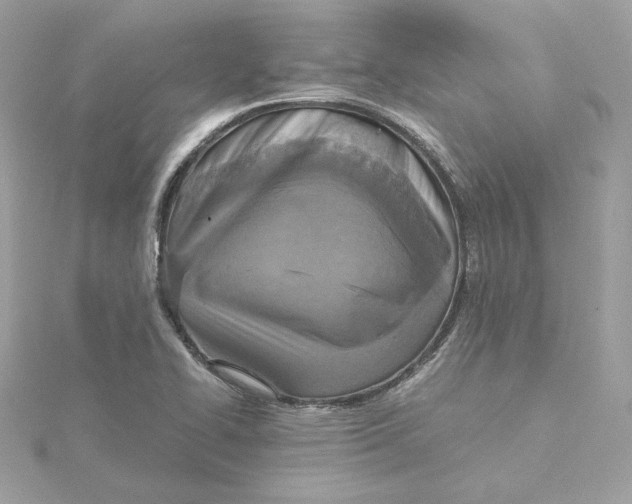 X0000115441414200911251237