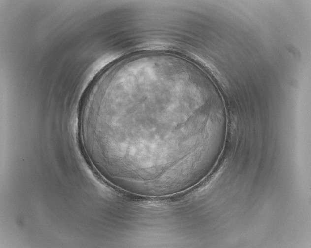 X0000115441418200911251237