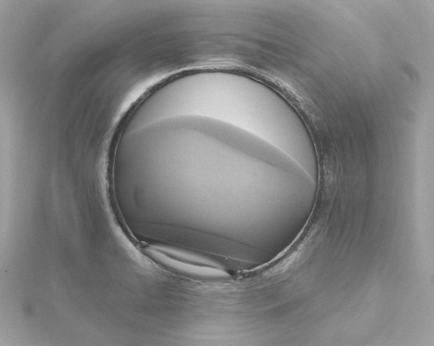 X0000115441422200911251237