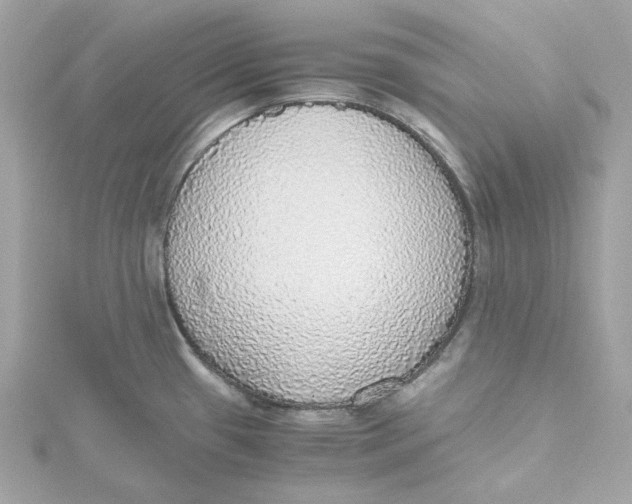 X0000115441433200911251237